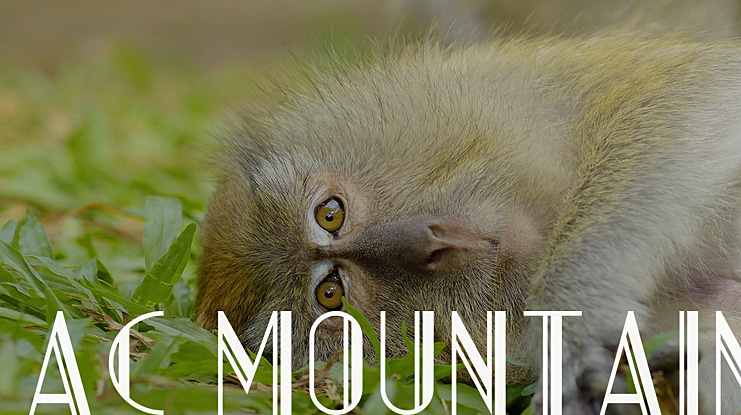AC Mountain Font Family