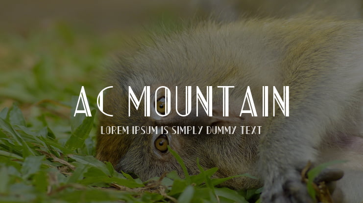 AC Mountain Font Family