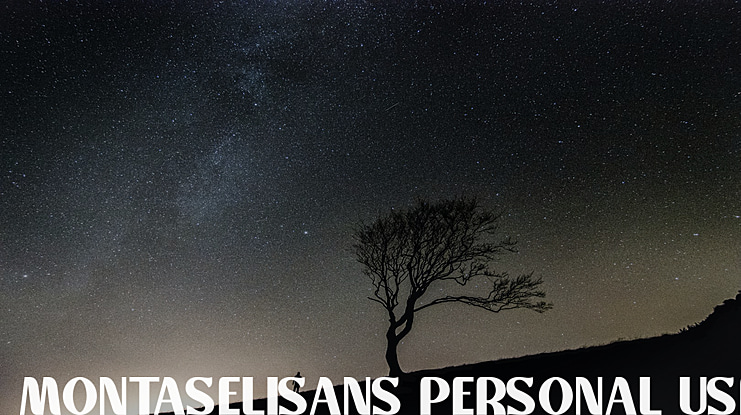 Montaselisans Personal Use Font