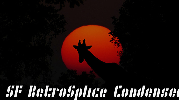 SF Retrosplice Font Family