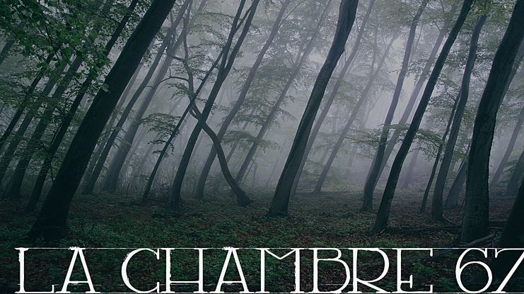 LA CHAMBRE 67 Font
