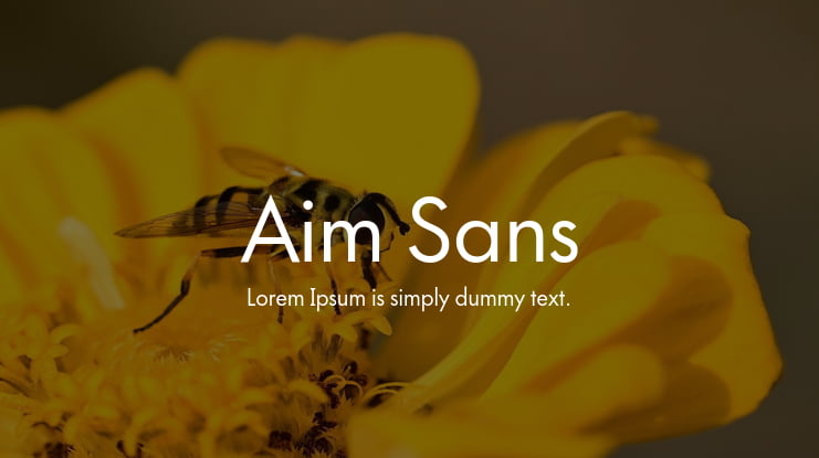 Aim Sans Font