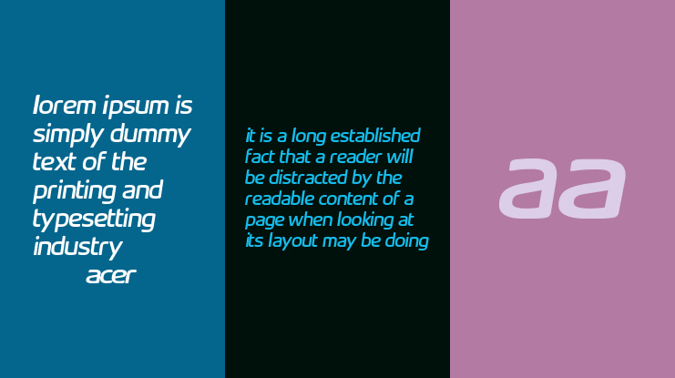 Acer Supplement Font