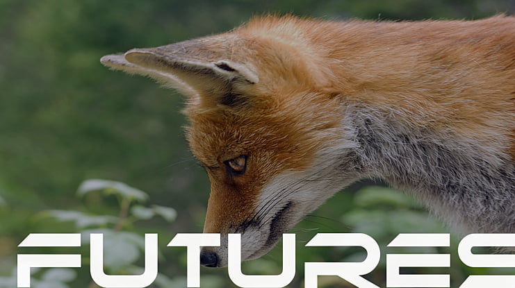 futures Font Family