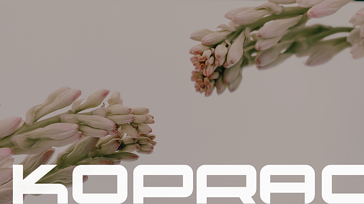 koprac Font Family