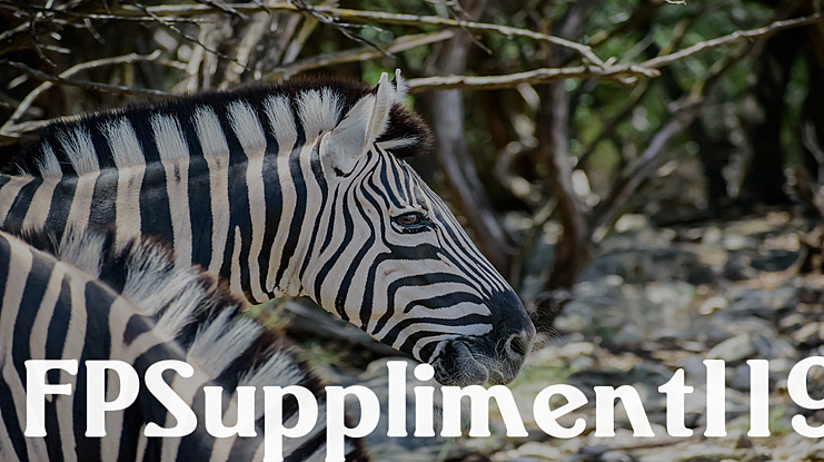 FPSuppliment119 Font