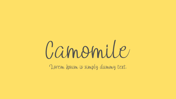 Camomile Font