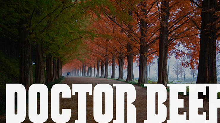 Doctor Beef Font