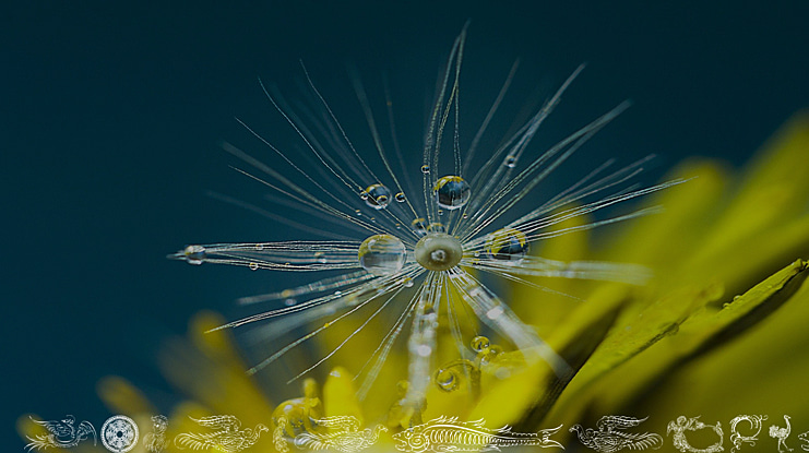 AprendizCaligrafico Font