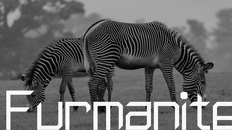 Furmanite Font Family