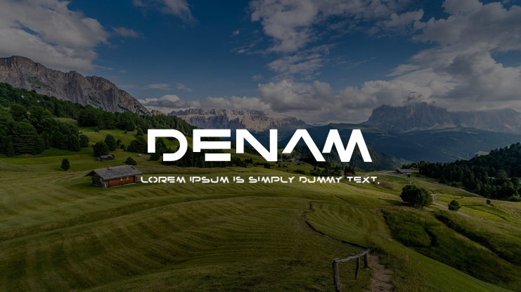 Denam Font Family