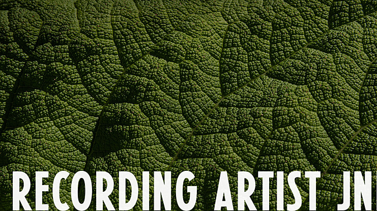 Recording Artist JNL Font Family