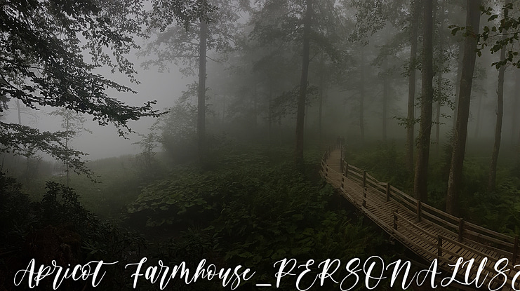ApricotFarmhouse_PERSONALUSE Font Family