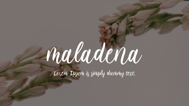 maladena Font