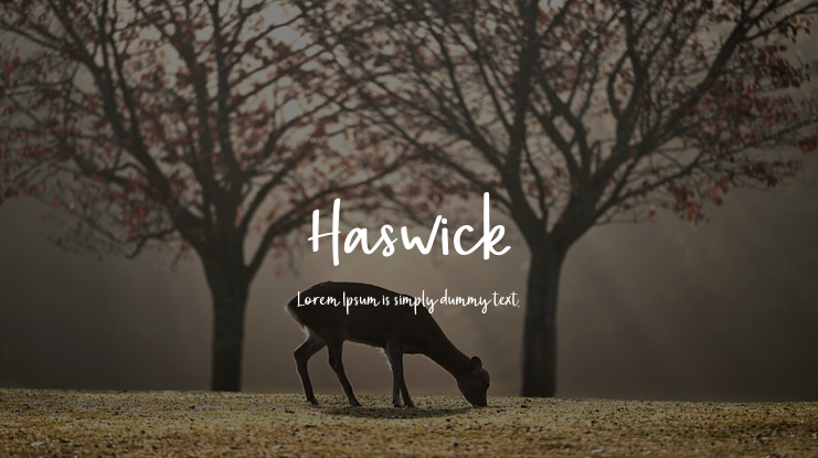 Haswick Font