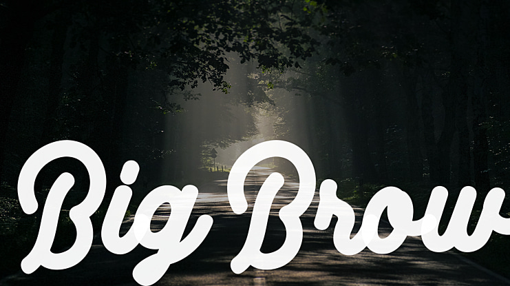 Big Brow Font Family