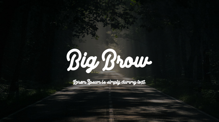 Big Brow Font Family