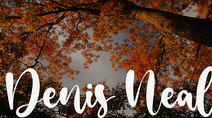 Denis Neal Font