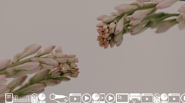 Home Entertainment Font