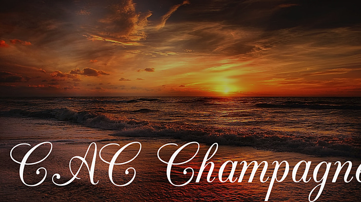 CAC Champagne Font