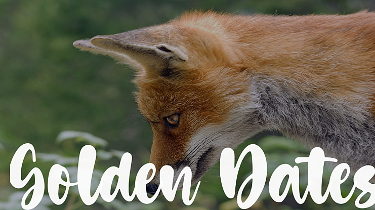 Golden Dates Font