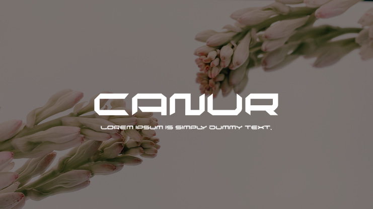 canur Font Family