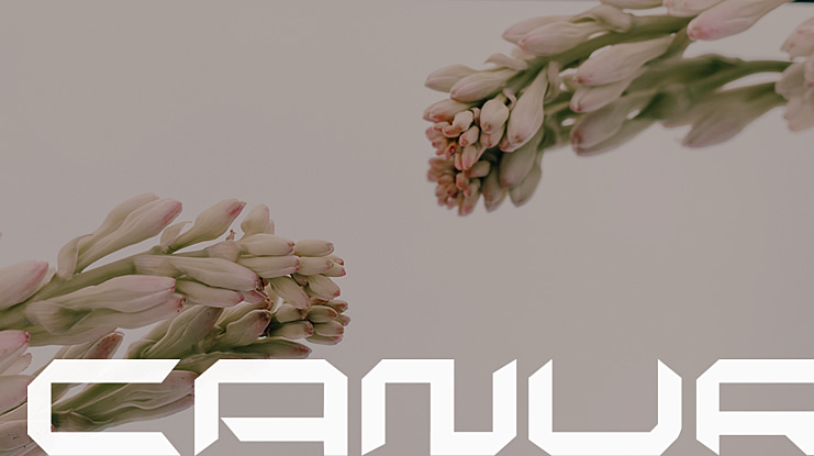 canur Font Family