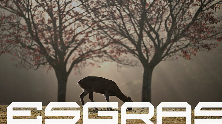 esgras Font Family