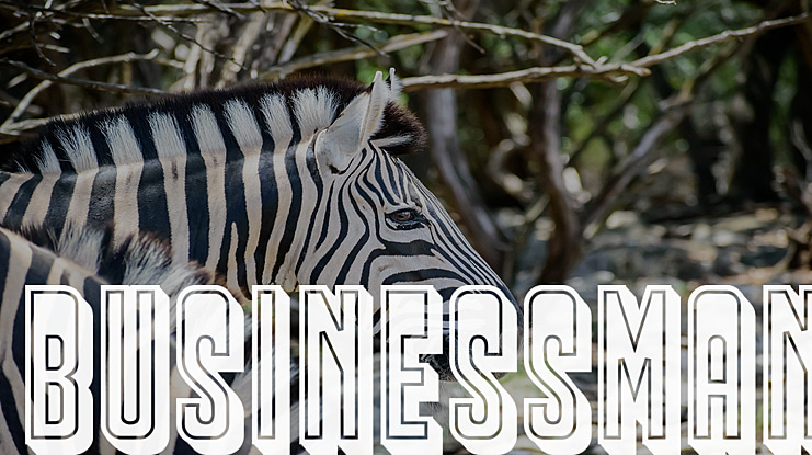 Businessman Font Family