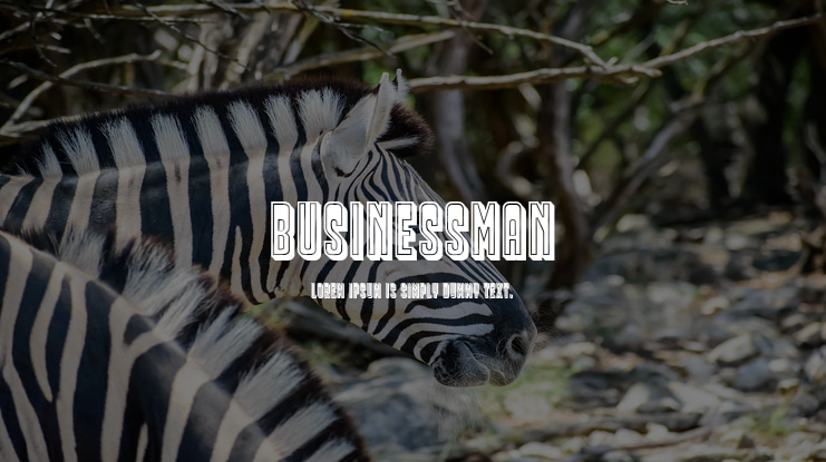 Businessman Font Family
