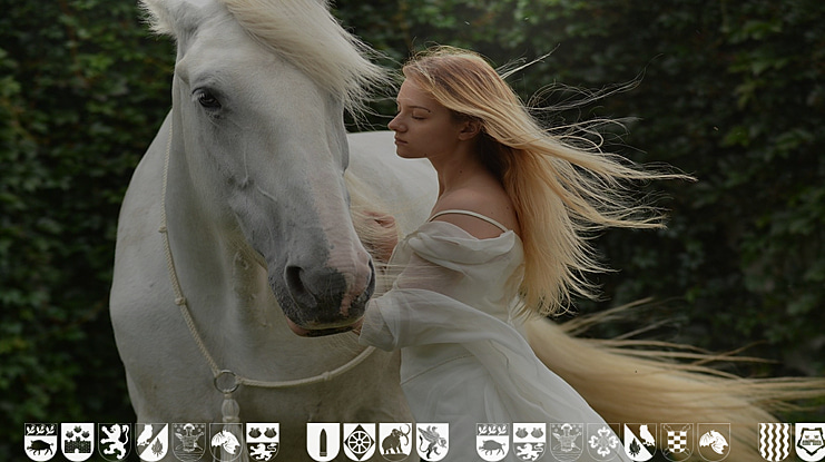 Spanish Army Shields Two Font