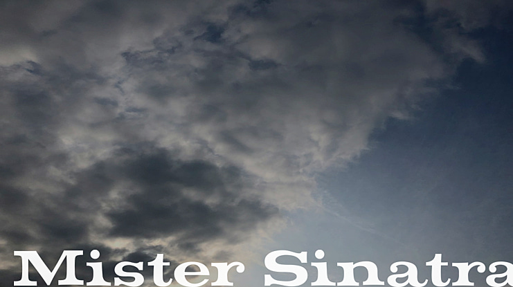 Mister Sinatra Font Family