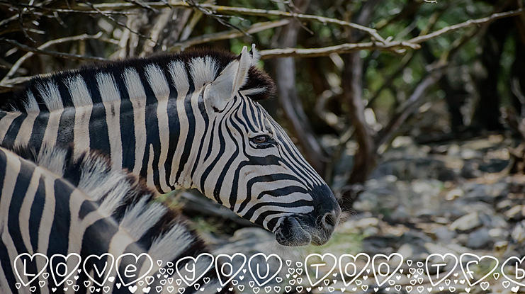 Love you too tfb Font