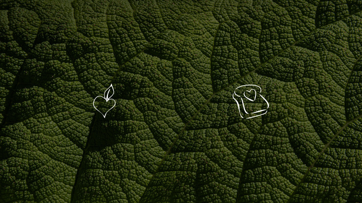 KR Cuori Divertenti 3 Font