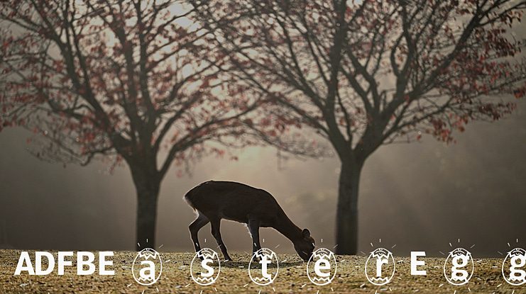 ADFBEasterEgg Font