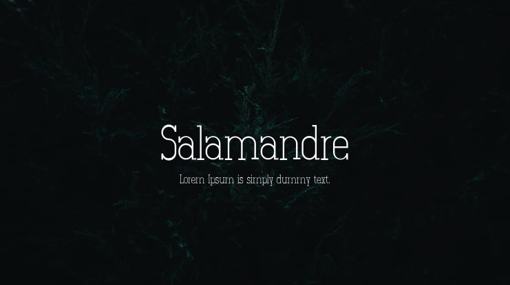 Salamandre Font