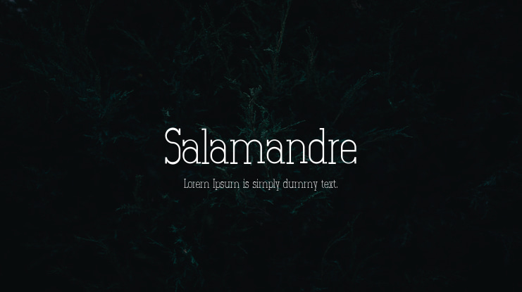 Salamandre Font