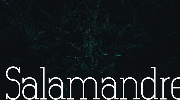Salamandre Font