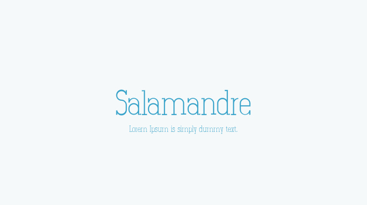 Salamandre Font