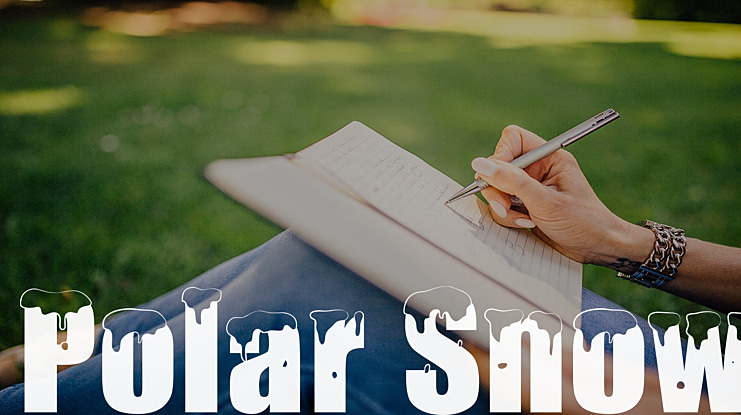 Polar Snow Font Family