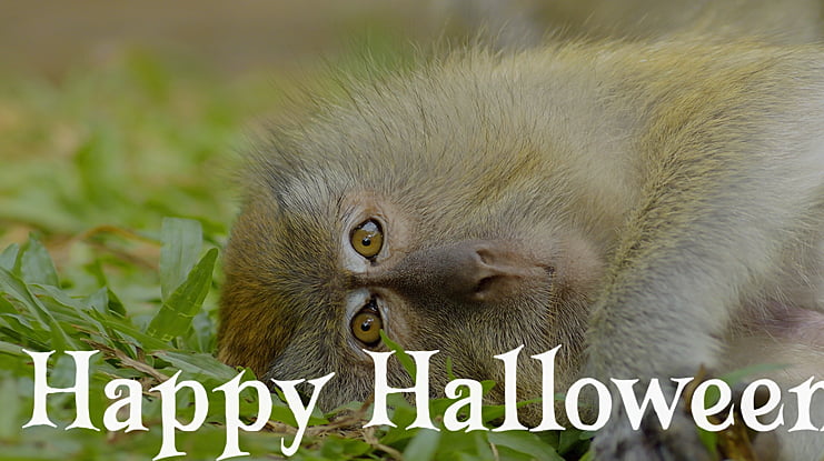 Happy Halloween Font