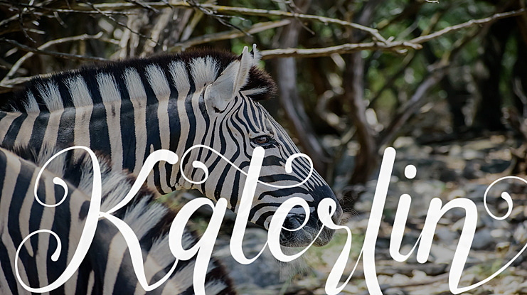 Katerlin Font