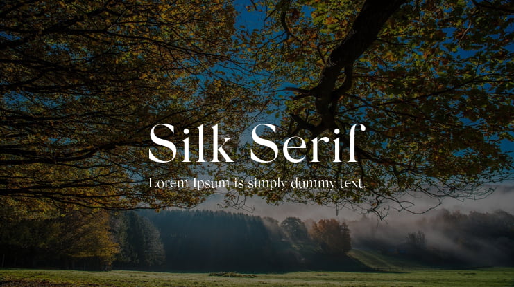 Silk Serif Font Family