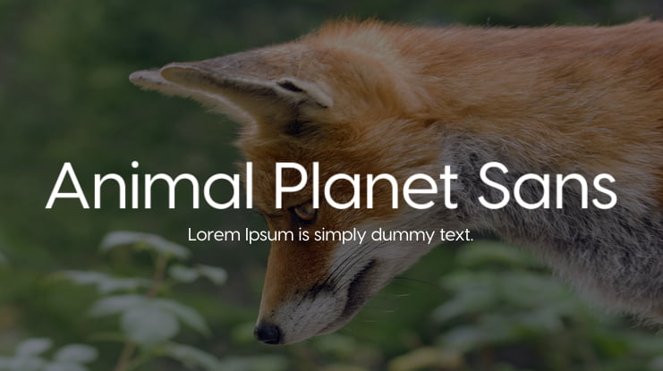Animal Planet Sans Font