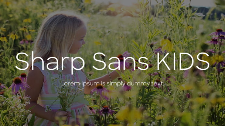 Sharp Sans KIDS Font Family