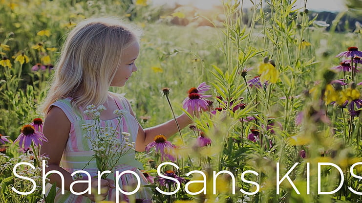 Sharp Sans KIDS Font Family
