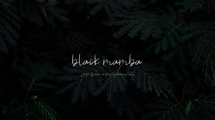 black mamba Font