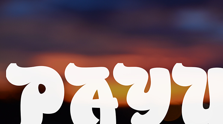 PAYU Font