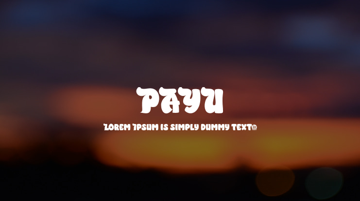 PAYU Font