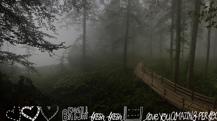 MTF Doodlewhats Font